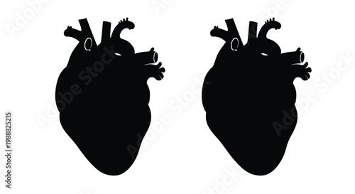 Two black heart shapes against white background a striking silhouette