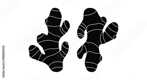 Two pieces of ginger root depicted in a striking black silhouette