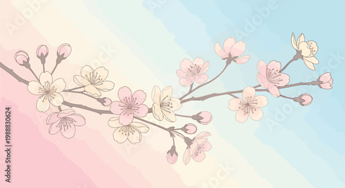Japanese cherry blossom branch vector, pink sakura flowers on pastel watercolor background, elegant floral spring illustration for greeting cards