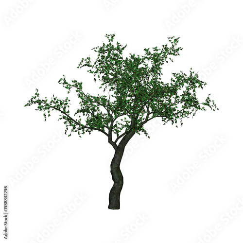 Vibrant green tree illustration rendered as a digital graphic element featuring detailed foliage and a sturdy textured trunk isolated on a clean white background for your creative design projects