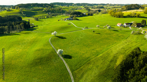 Spring landscape in Allgau Alps with blooming trees and green meadows at sunset.