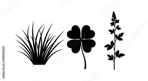 Collection of stylized plant silhouettes including grass a lucky clover and a flowering stem perfect for nature-themed designs and isolated on white