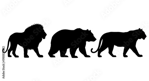 Silhouette collection of a lion bear and tiger walking representing wildlife and nature isolated on white background