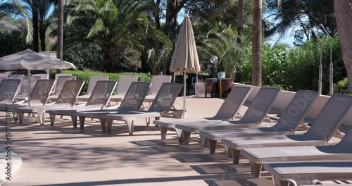 PORTOCOLOM, MALLORCA, SPAIN - OCTOBER, 2025: Rows of inviting sun loungers under bright midday sun and palms at background, strong contrast, shadows and highlights