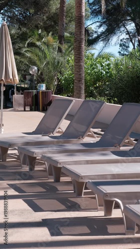 PORTOCOLOM, MALLORCA, SPAIN - OCTOBER, 2025: Rows of inviting sun loungers under bright midday sun and palms at background, strong contrast, shadows and highlights