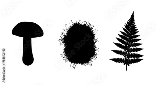 Silhouette trio of forest elements: mushroom, abstract shape, and fern frond on white.