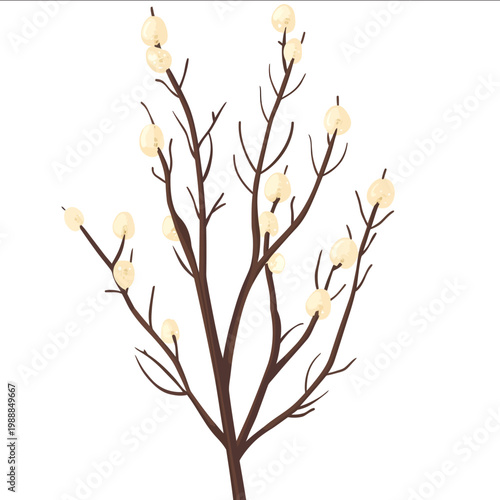 simple vector pussy willow clipart illustration white background vector art style simple design flat illustration no shadows