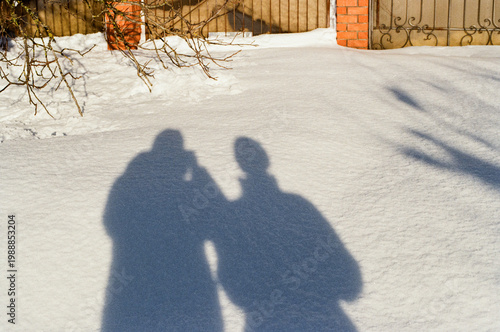 Snowfall in the village