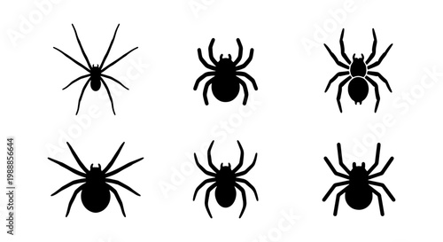Spider silhouette icons, 6 black arachnid vector elements, Halloween insect graphics