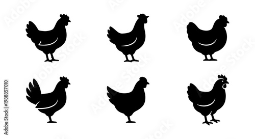 Black chicken silhouette set, 6 farm bird icons, poultry livestock vector graphics