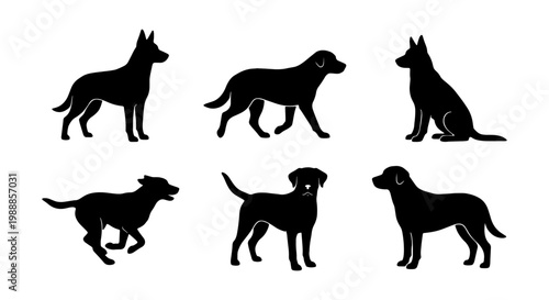 Black dog silhouettes set, 6 canine vector elements, labrador and shepherd pet icons