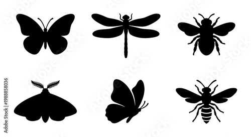 Black insect silhouette collection, set of 6 butterfly and dragonfly icons, minimalist bee and moth vector graphics for nature logos and branding