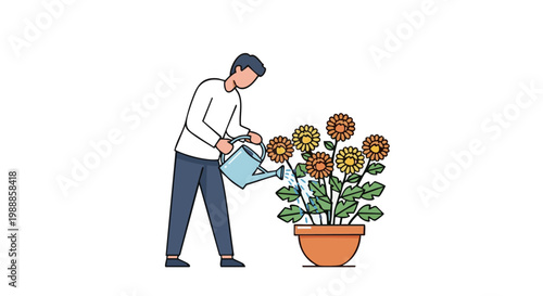 Man watering yellow and orange chrysanthemum flowers in pot. Vector illustration of gardening and plant care