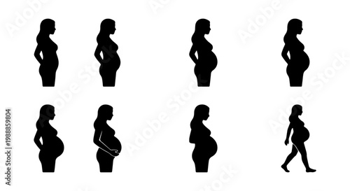 Pregnant woman silhouette set, pregnancy stages vector icons, motherhood growth cycle