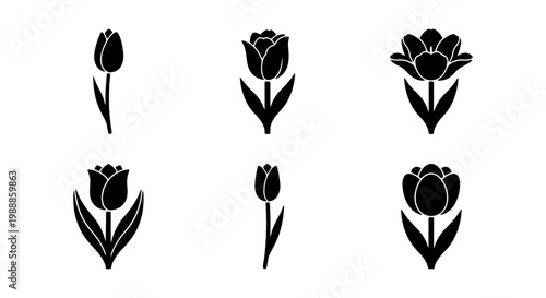 Tulip flower icon set, black floral silhouettes, 6 spring blossom vector elements