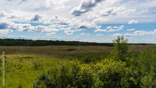 Bild auf Leinwand Prairie and Boreal Forest Converge Under Summer Skies in Riding Mountain Nationa