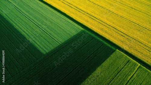 Aerial View of Geometric Crop Fields