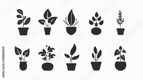 Collection of silhouette houseplants isolated decorative potted plants on white