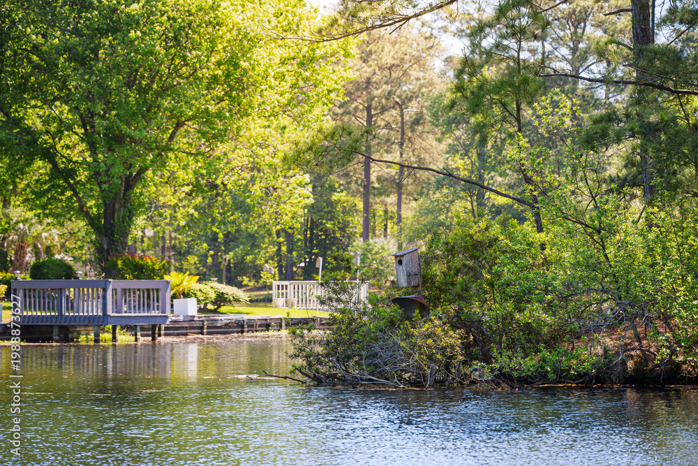 Obraz premium A weathered birdhouse nesting box among the trees and foliage of a small riverbank in a residential community of homes with small docks in South Carolina.