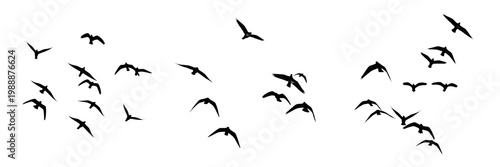 Tableau sur toile Set of Three Silhouettes of Flocks of Birds Flying in the Sky Migrating Groups o