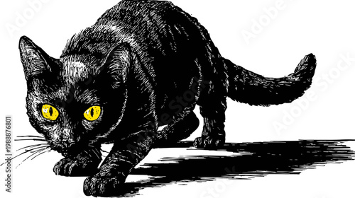 Black cat stalking silhouette illustration with yellow eyes ready to pounce