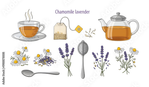 Collection of Chamomile lavender tea ingredients still life.