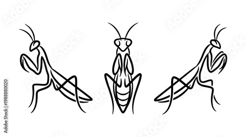 Elegant Black Line Art Depicting Praying Mantis Poses.