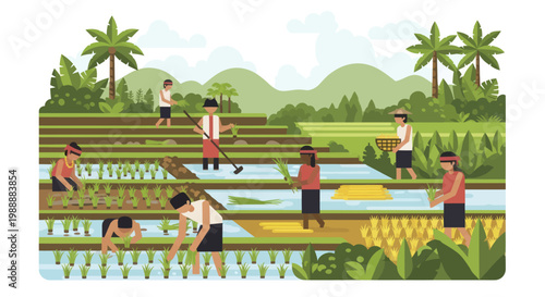 Farmers planting rice in traditional Asian paddy fields.