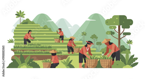 Farmers harvesting crops on lush green terraced fields.