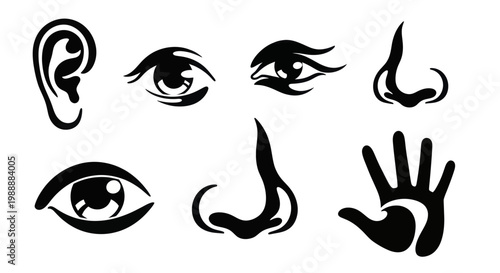 Human Sensory Organs and Body Parts Black Silhouettes.