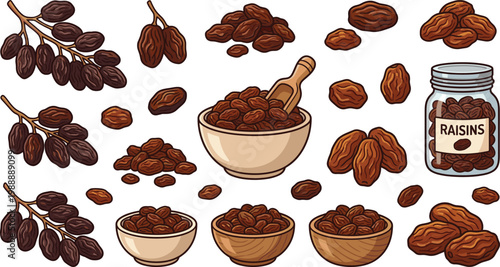 Raisins dried fruit cartoon vector collection with bowls, jar and bunches, detailed organic food illustration set for healthy snack design