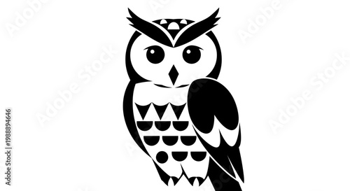 Detailed illustration of an owl.