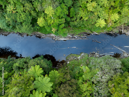 Aerial view of a river flowing through a lush, green forest with ferns and trees. The riverbanks are lined with rocks and fallen logs. World Forgotten Highway, Manawatu–Whanganui, New Zealand.