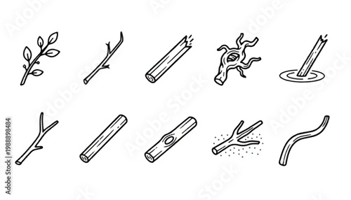 Hand-drawn collection of various twigs and branches with line art illustration isolated collection decoration handcrafted minimalist material