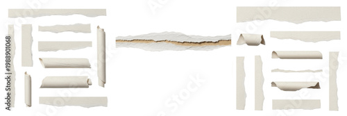 Photography Horizontal ripped parchment paper edge and torn antique document border isolated