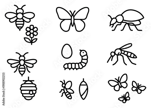 Insect icons with bee butterfly beetle outline