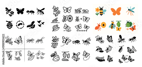 Collection of insect icons and illustrations