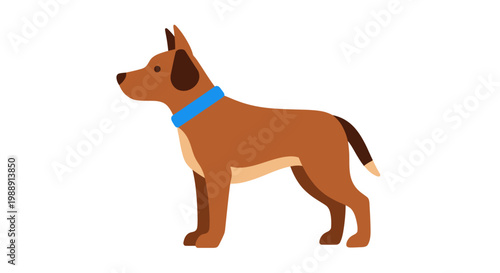 Brown dog with blue collar standing.