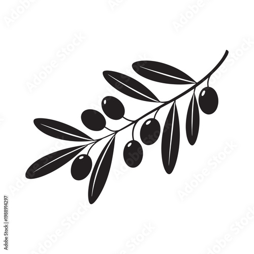 Simple black and white illustration of an olive branch with fruit