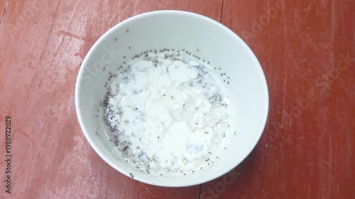Stale milk in a bowl eaten by ants on a table background