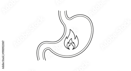 Human stomach with burning sensation inside.