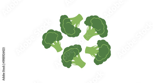 Fresh Green Broccoli Florets Cluster.