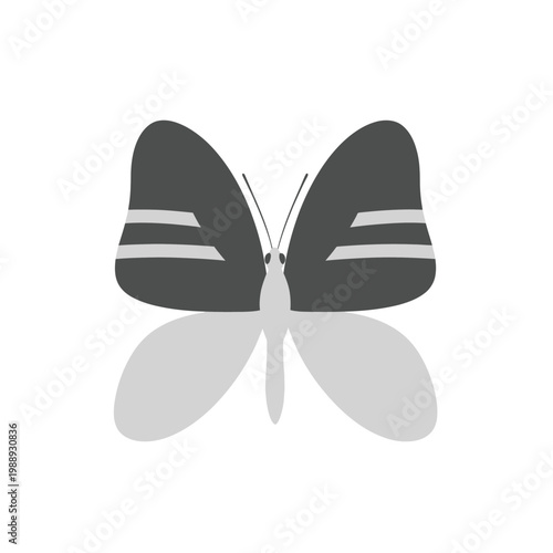 A stylized illustration of a butterfly with dark gray wings and light gray markings.