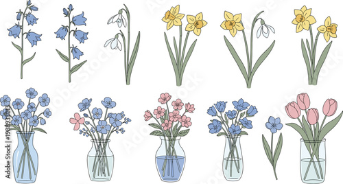 A colorful illustration depicts various spring flowers including daffodils tulips and bluebells both individually and arranged in vases high quality professional detailed modern