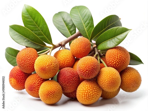 Close up of delicious bright orange lychee fruit bunch with green leaves