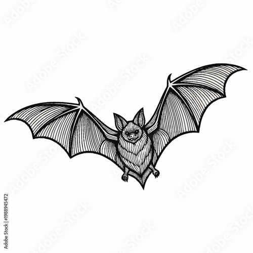 Detailed Illustration of a Flying Bat with Wings Spread Wide.