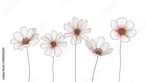 Delicate Floral Harmony: A graceful collection of sketched flowers presents a minimalist aesthetic. Illustrating the purity and simplicity of floral beauty