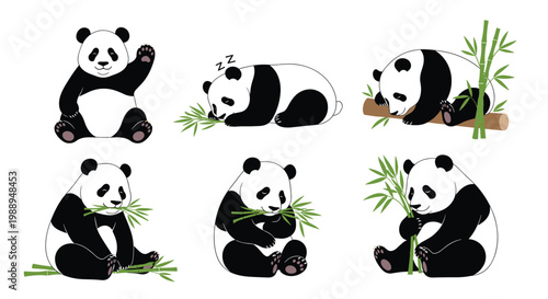 Collection of cute giant panda characters in various poses waving, sleeping on a log, and eating fresh bamboo.