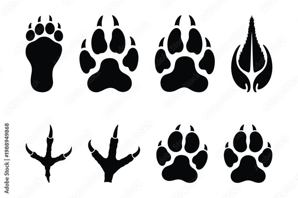 Fototapeta premium Set of diverse animal paw prints footprints bird tracks in black wildlife