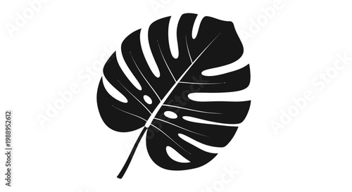 Black Silhouette of Monstera Deliciosa Leaf